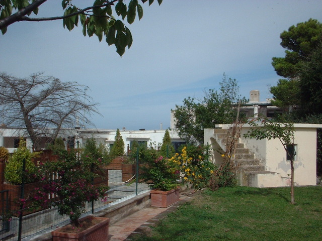 Villa Orlandi - garden