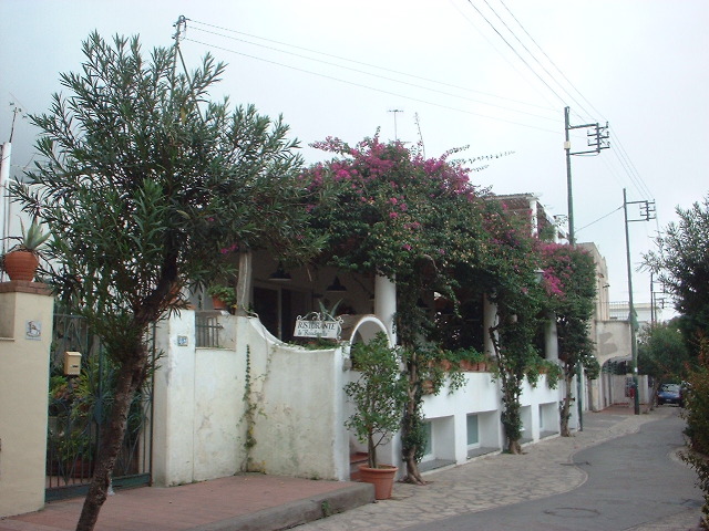 Anacapri - Rondinella restaurant