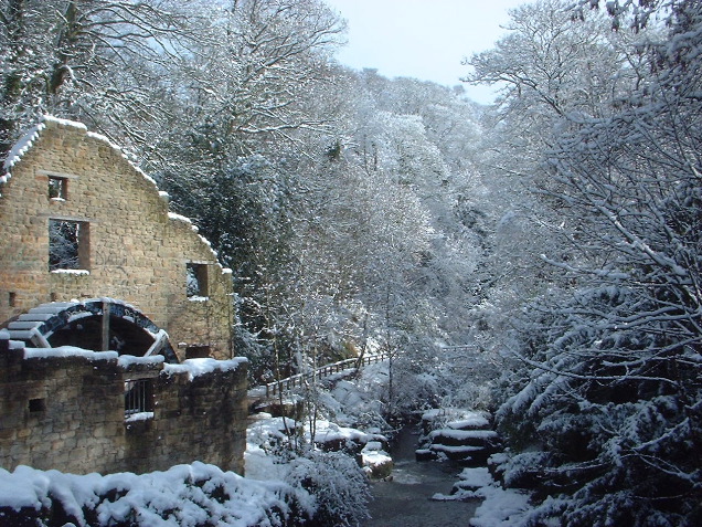 Jesmond Dene, Old Mill