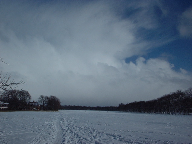 Dukes Moor