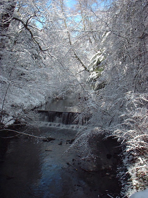 Jesmond Dene, Upper Waterfall