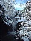 Jesmond Dene, Lower Waterfall