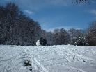 Jesmond Dene, Rec. Ground