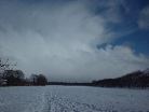 Dukes Moor