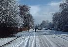 Montague Ave.