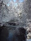 Jesmond Dene, Upper Waterfall