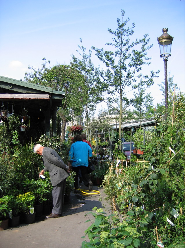 Marché aux fleurs