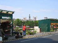 Marché aux fleurs