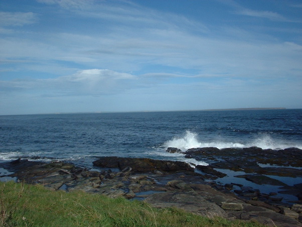 Seals near Burroughston