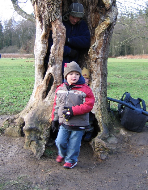3 in a tree